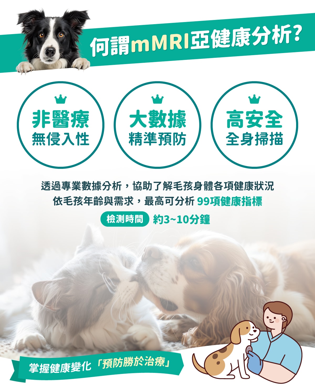 mMRI 亞健康分析服務說明